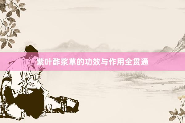 紫叶酢浆草的功效与作用全贯通