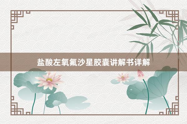 盐酸左氧氟沙星胶囊讲解书详解