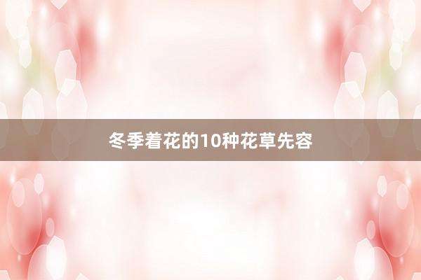 冬季着花的10种花草先容