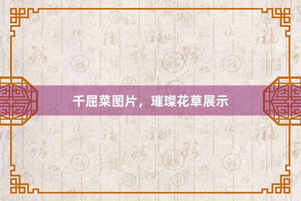 千屈菜图片，璀璨花草展示